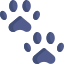 Decennale Icon